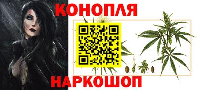 молекула духа Шахты