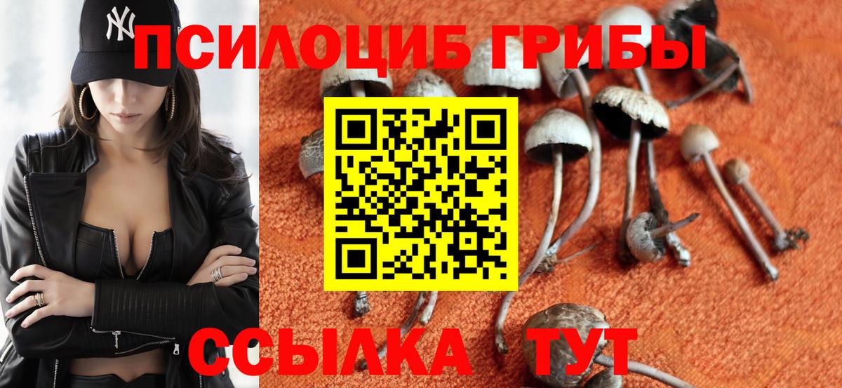 Псилоцибиновые грибы ЛСД Брянск