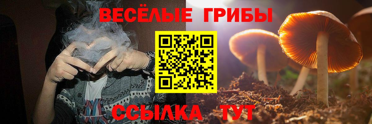 Брянск  Галлюциногенные грибы ЛСД  Вход с VPN 